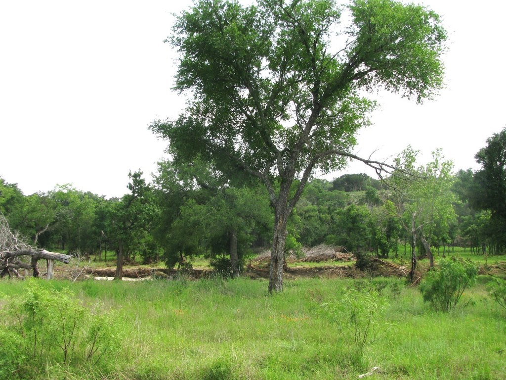 Picture 12