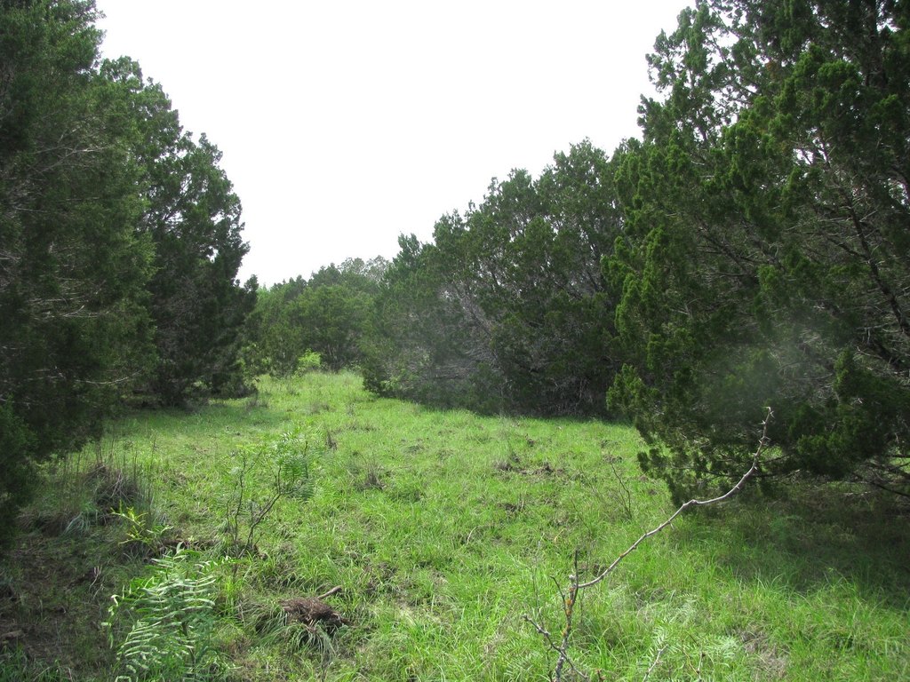 Picture 16
