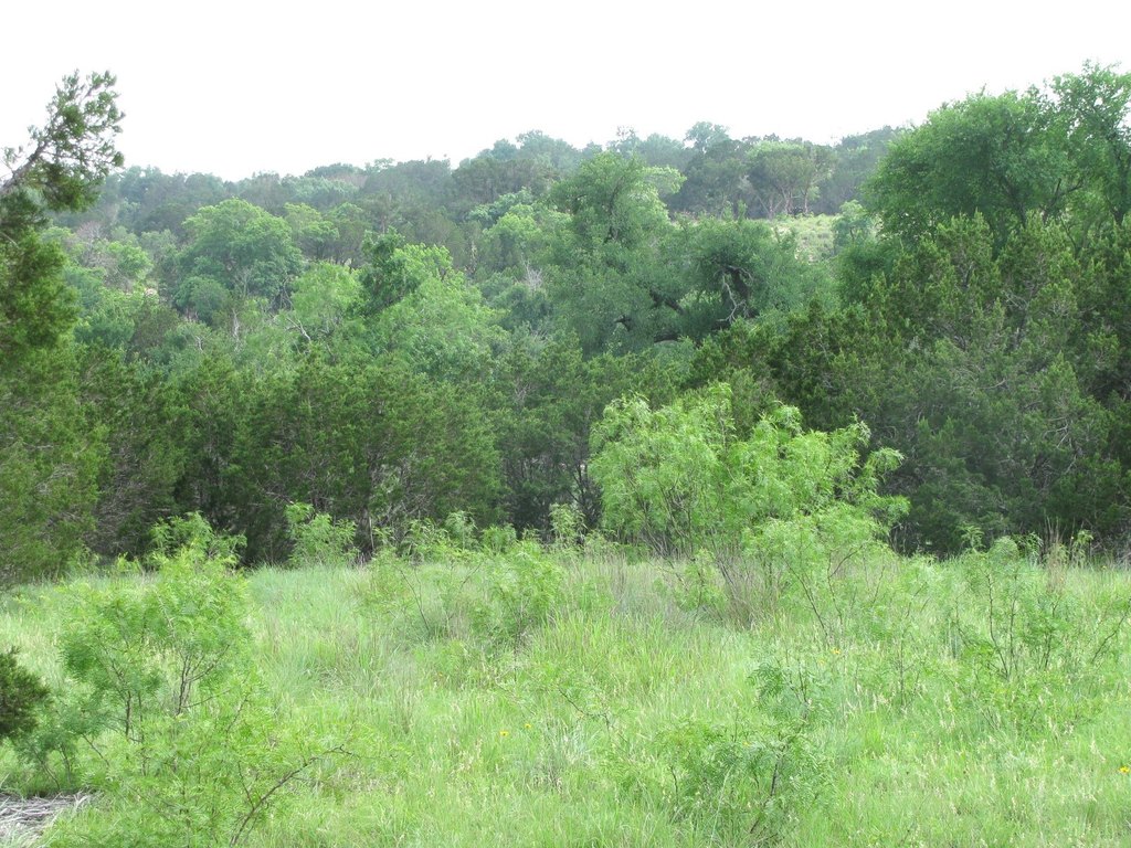 Picture 2