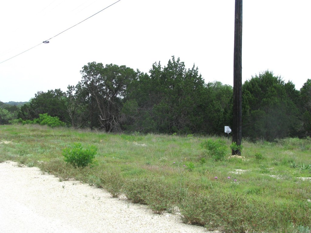 Picture 20