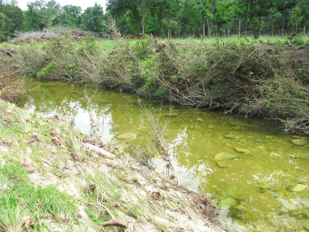 Picture 6
