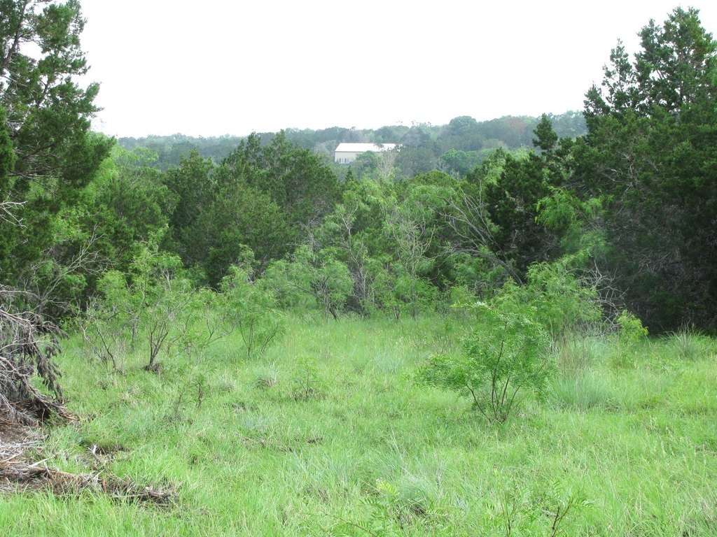 Picture 10