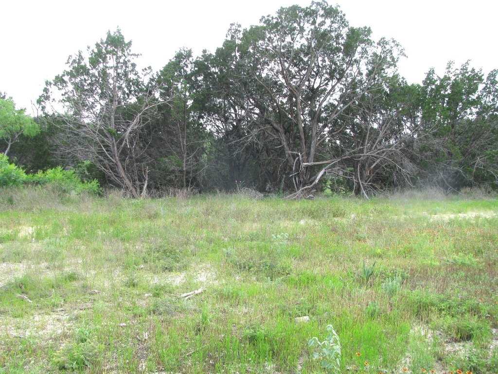 Picture 19