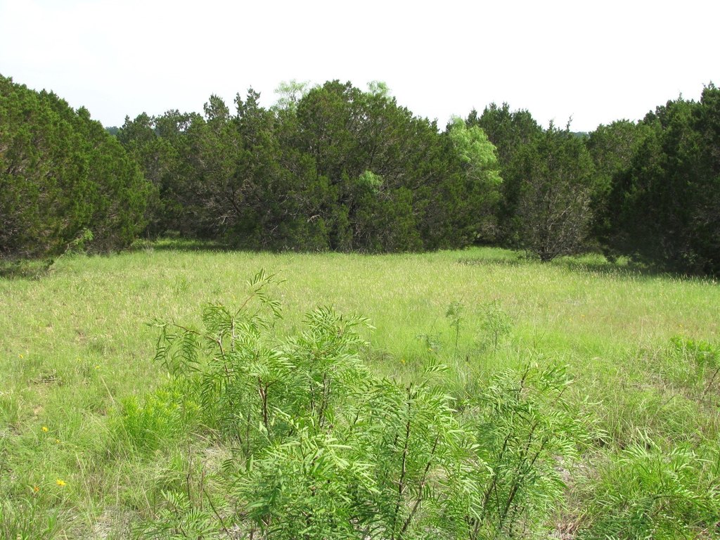 Picture 8