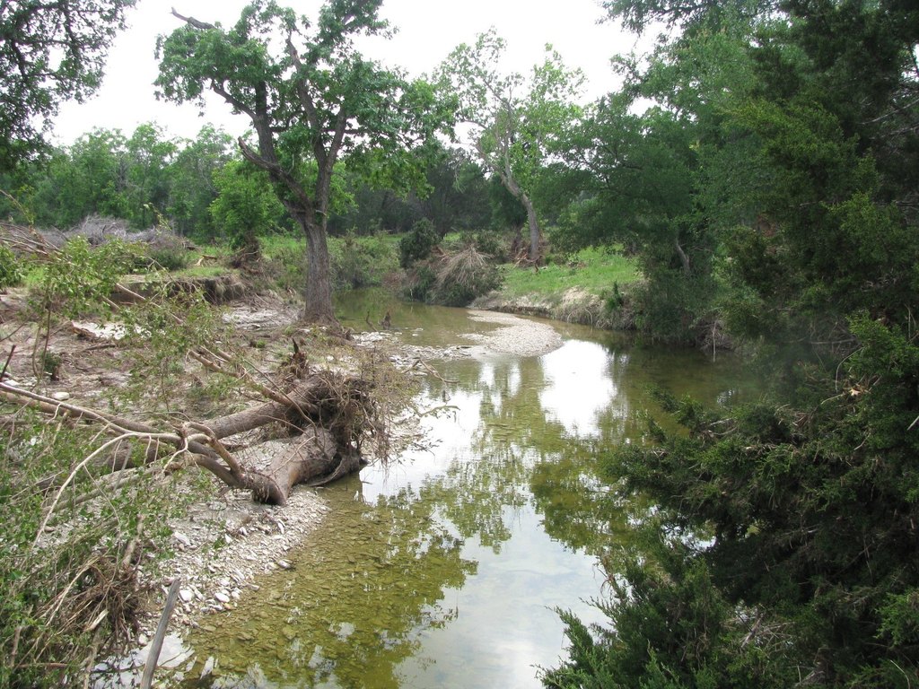Picture 7