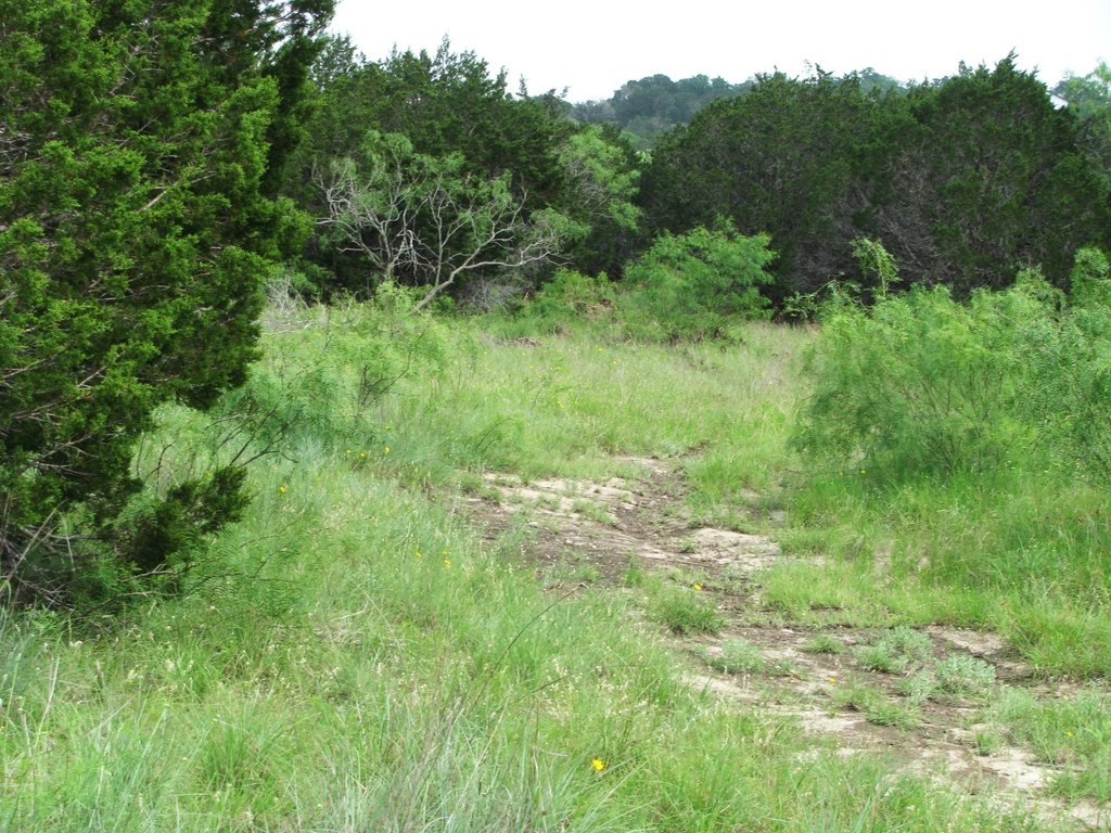 Picture 11