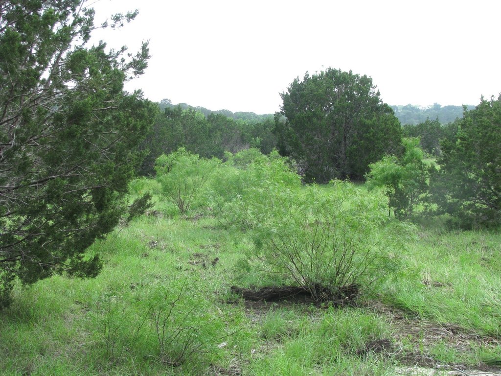 Picture 9