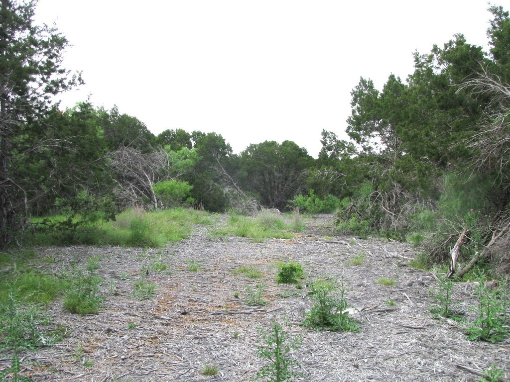 Picture 18