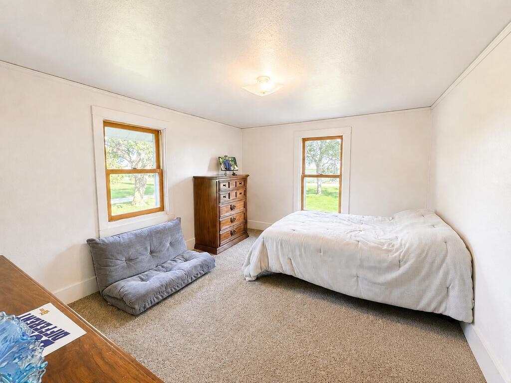 Picture 14