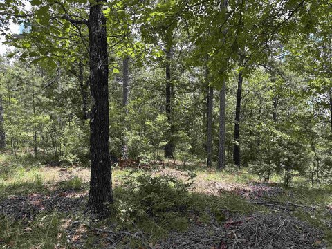 LAND - Hot Springs, AR
