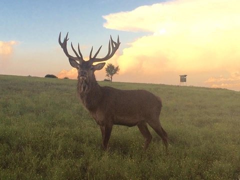 Burnet County Land with Views