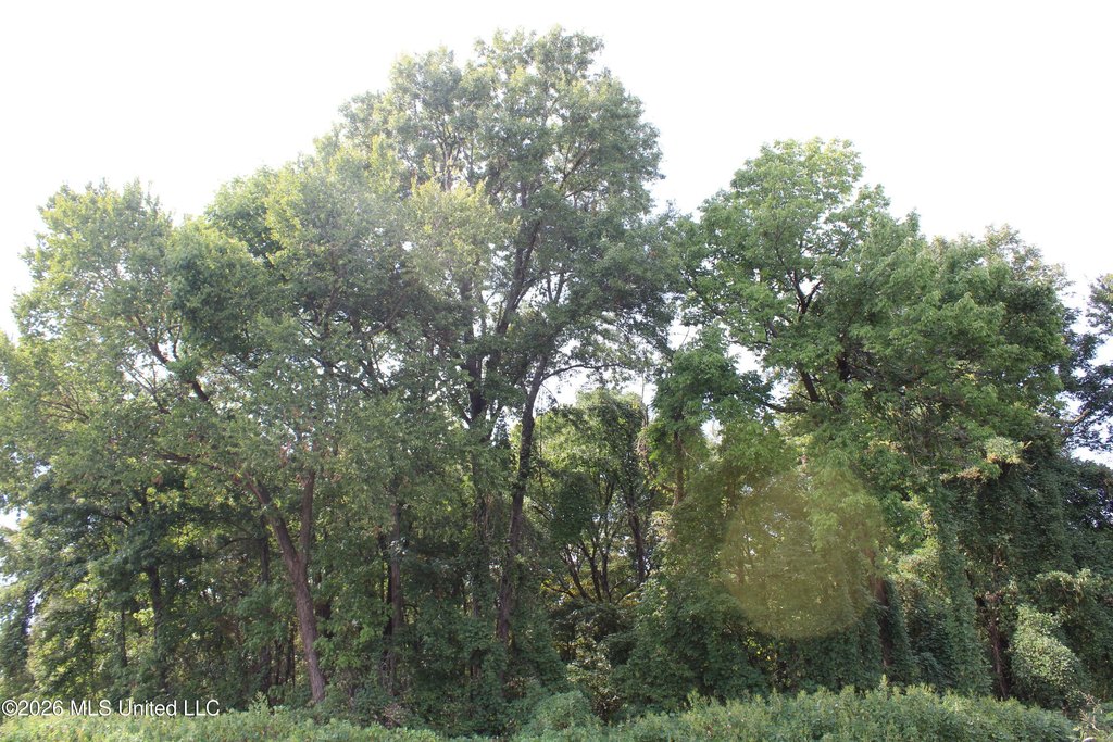 Picture 20