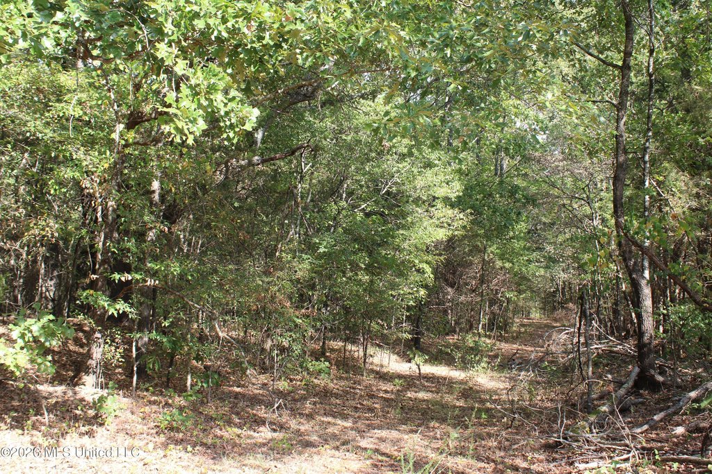 Picture 41