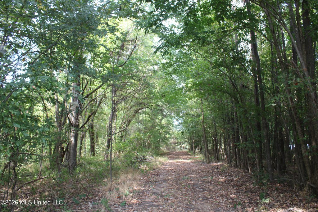 Picture 21