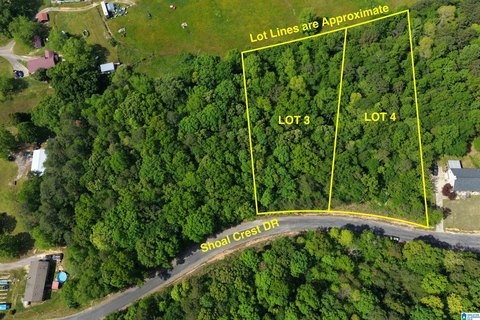 Residential Lots in Ashville, AL