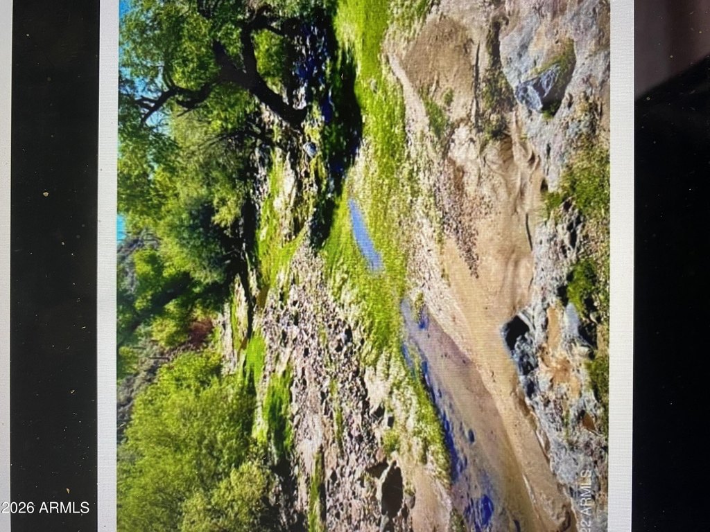 Picture 25