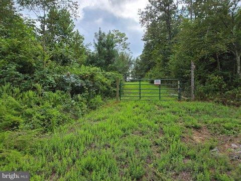Three-Acre Lot in Weaver Hollow