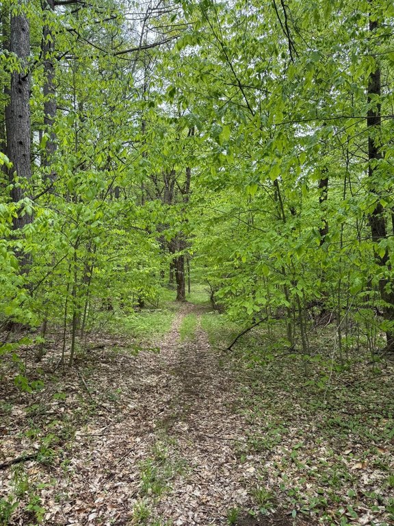 Picture 41