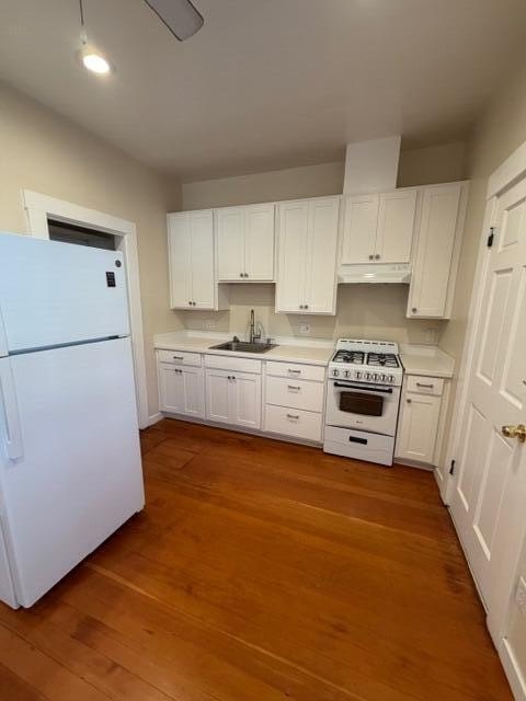 Picture 14