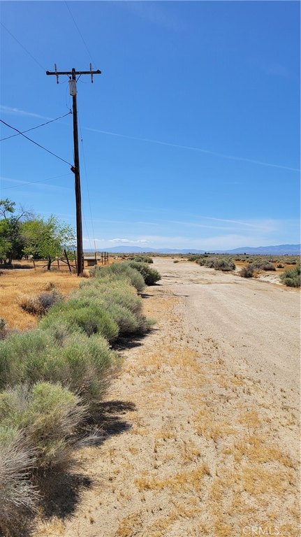 Picture 9