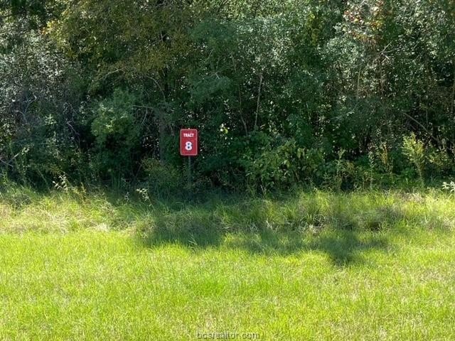 Wooded Lot in Oak Forest