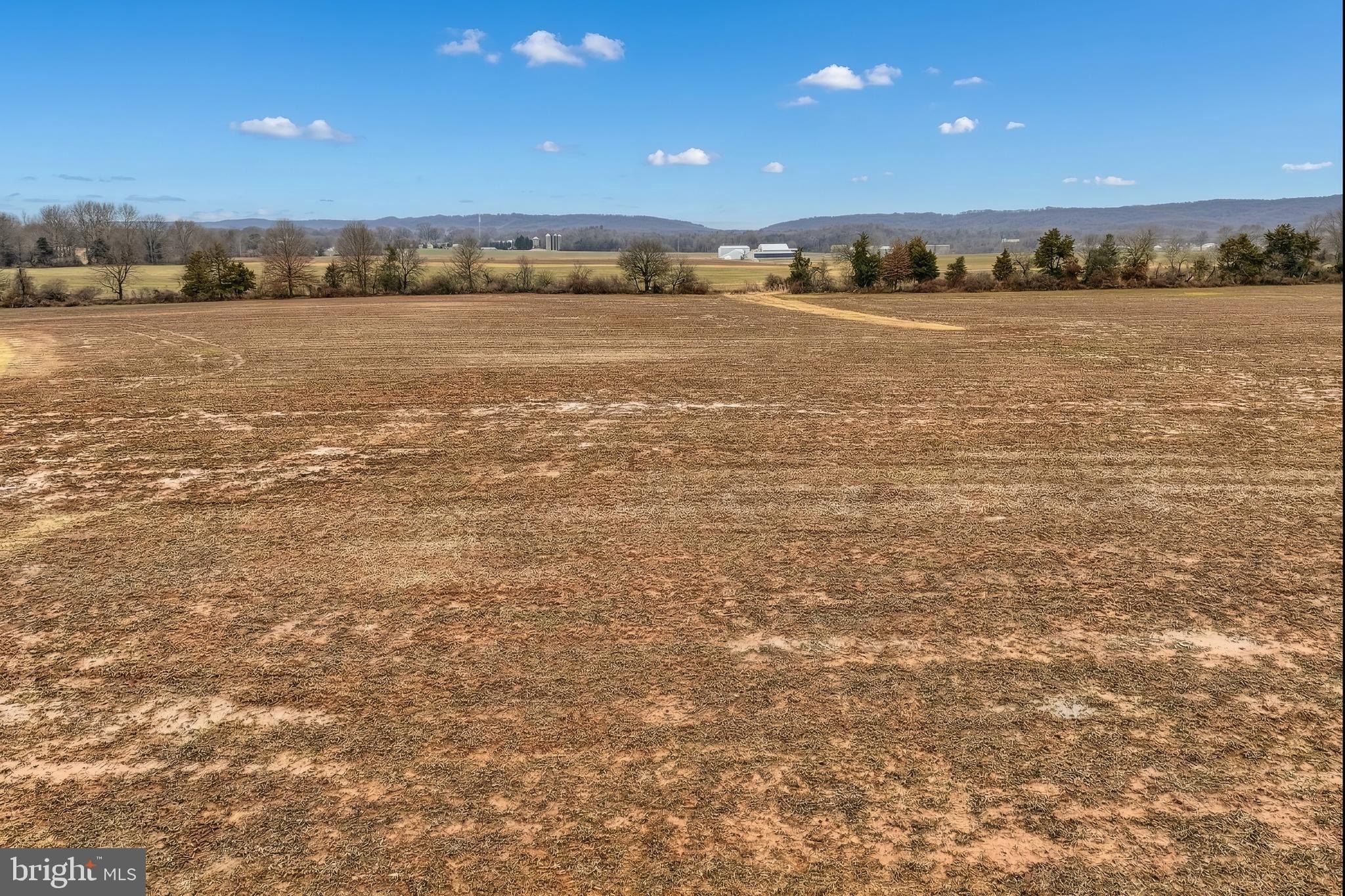 29.5 Acres of Raw Land