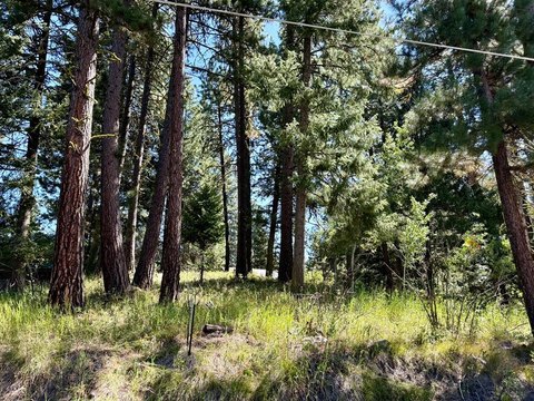 Buildable Wooded Lot in McCall