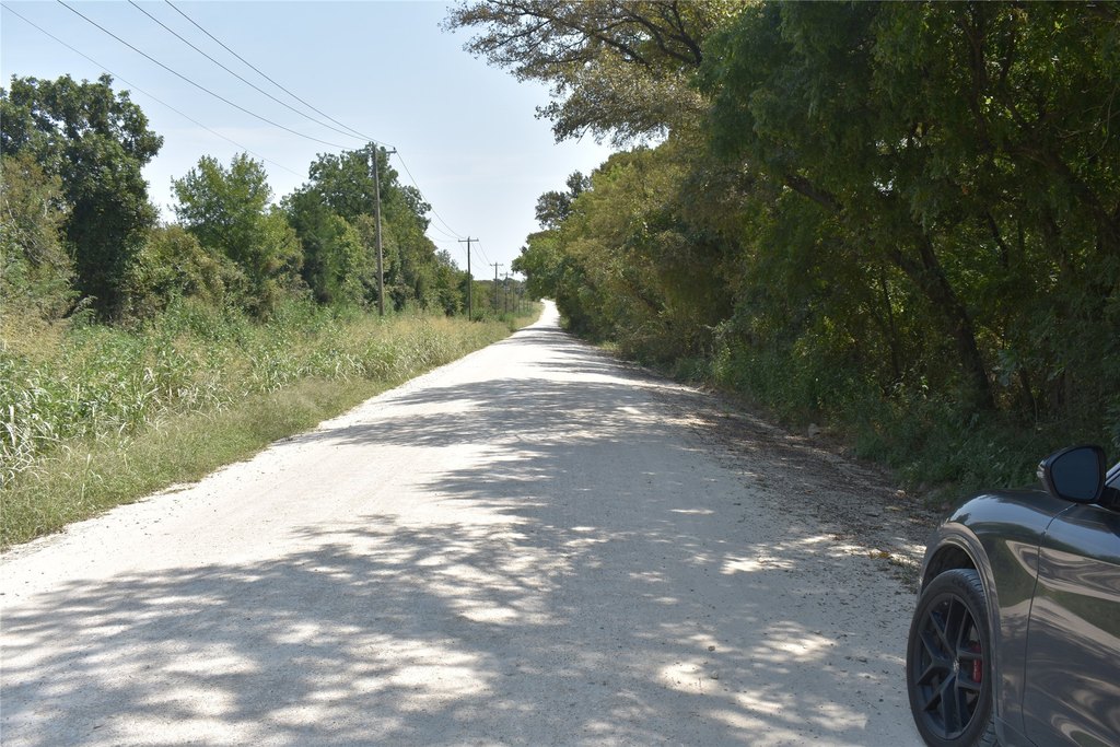 Picture 8
