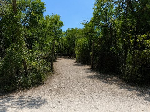 LAND - Richland, TX
