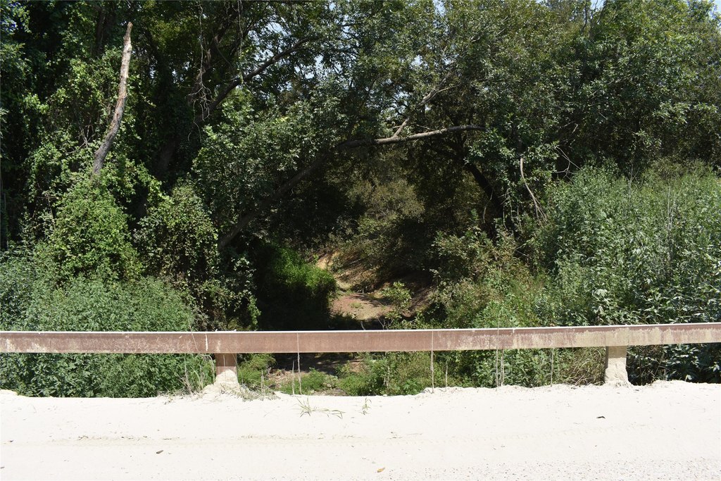 Picture 11