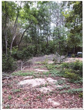 LAND - Ocean Springs, MS