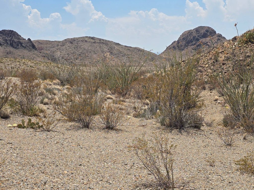 Picture 6