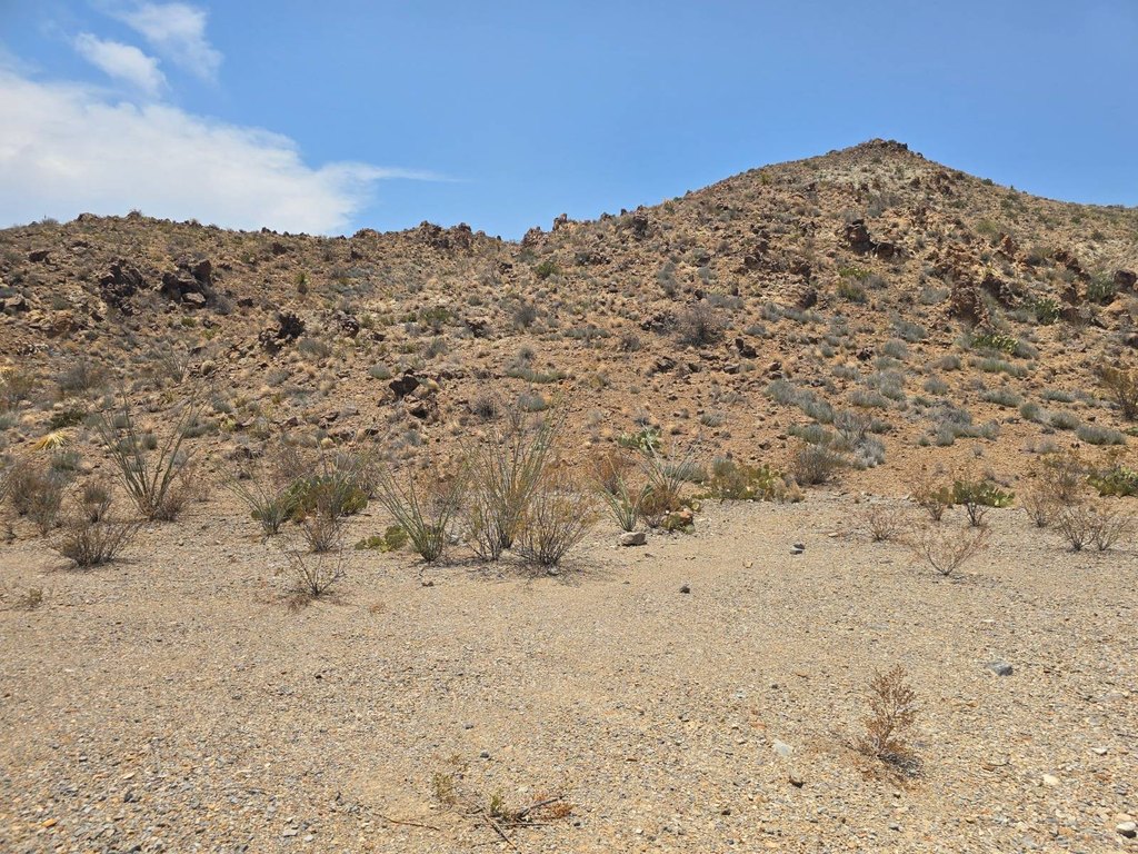 Picture 3