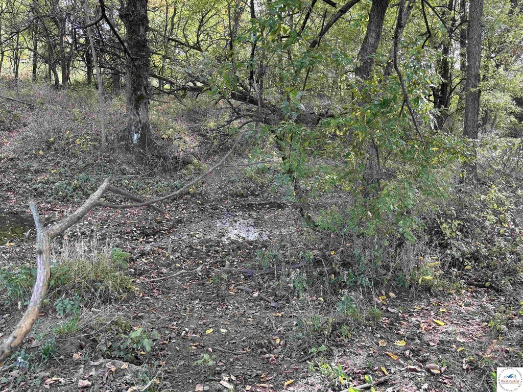 Picture 10