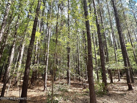 Land, Braxton, MS