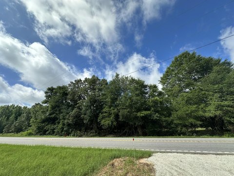 Waynesboro Acreage Near Plant Vogtle