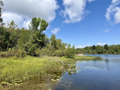 Land, Cheboygan, MI