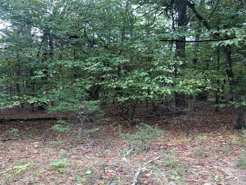 Residential Land in Hot Springs