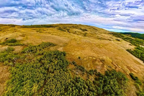 Land, Roscoe, MT