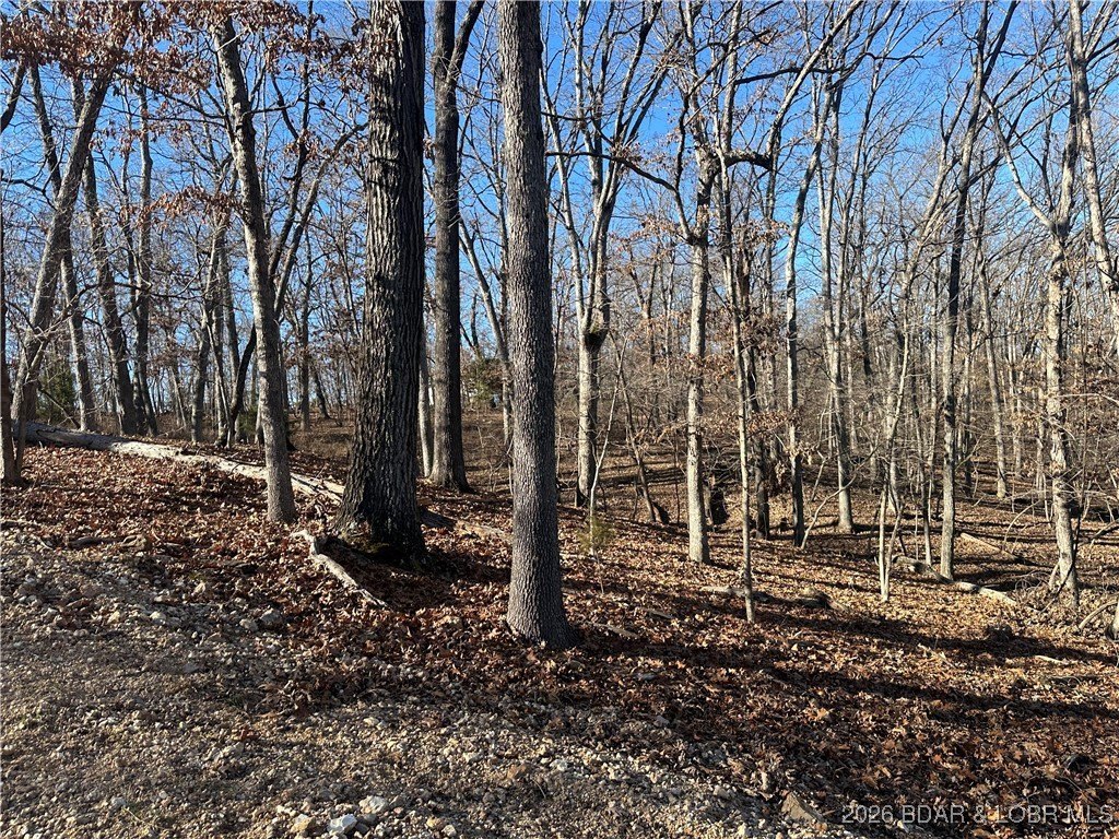 Lake Ozark Residential Lot