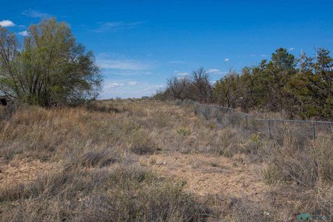 Land For Sale, Willard, NM