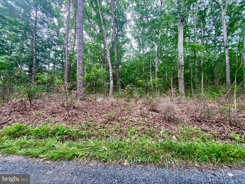 Luray, VA Wooded Lot