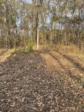 Clear Lake Lots For Sale