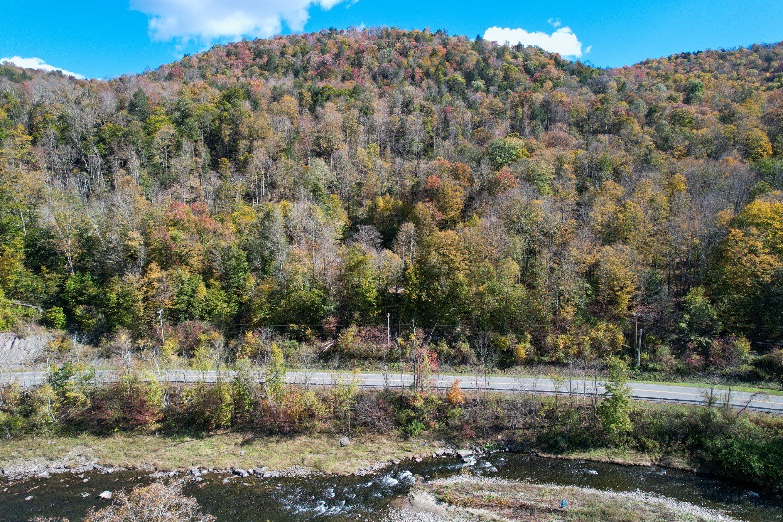 91 Acres of Wooded Mountainside
