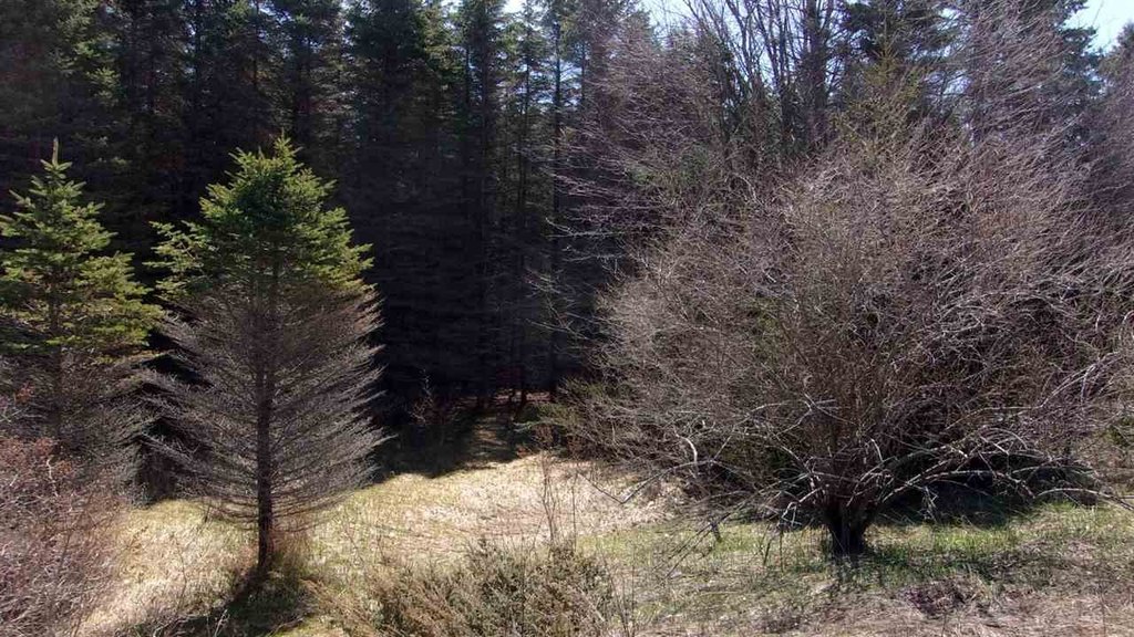 Picture 14