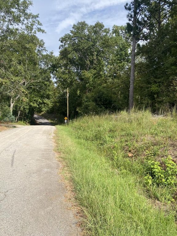 Picture 3