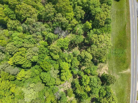 Wooded Land with Highway 62 Frontage