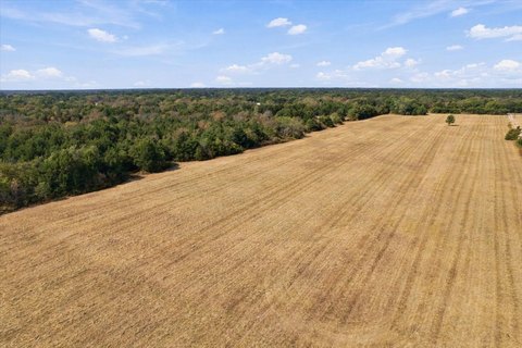 Land, Ivanhoe, TX