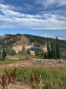 Land Investment Opportunity at Powder