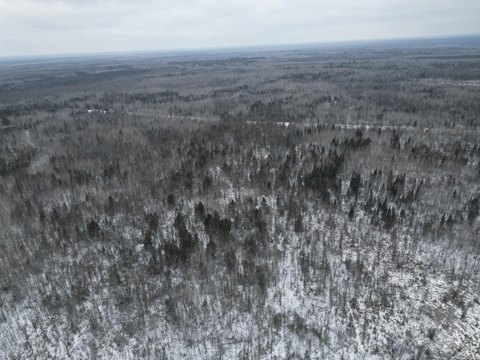 Recreational Hunting Land